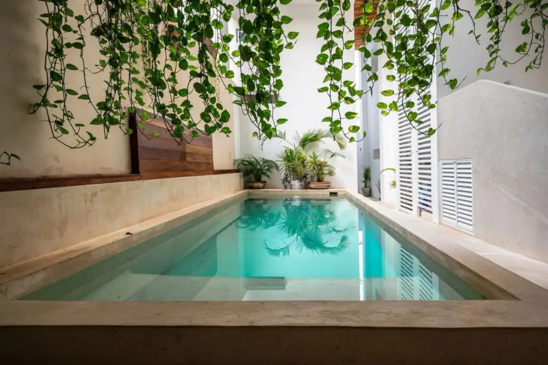 Central40_2-1 (1) Piscina interna con acqua cristallina, circondata da pareti bianche e rigogliose piante verdi che pendono dall'alto, creando un'oasi di tranquillità.